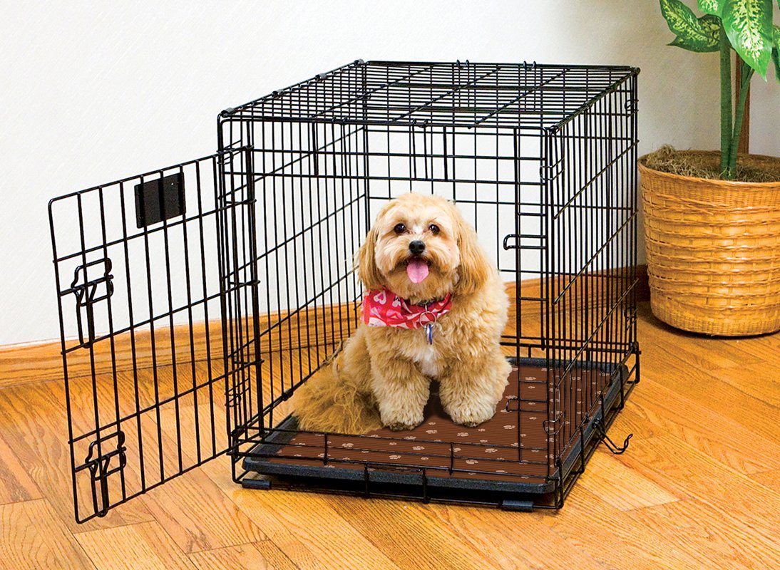 Mastering Crate Training: Fundamentals for a Happy, Well-Behaved Dog