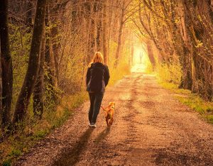 Walking a dog in wilderness