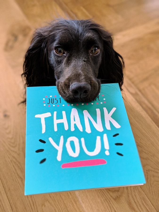Gratitude in Business: The Importance of Thanking Clients