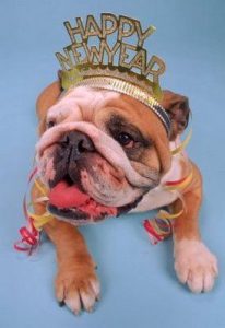 How to celebrate New Year with a dog