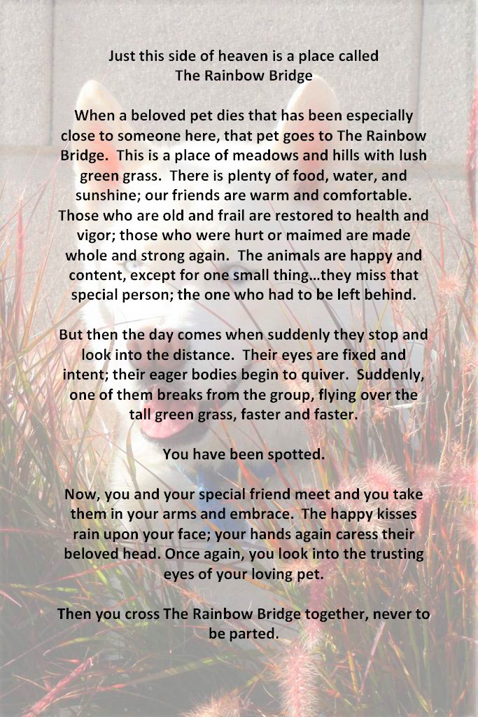 Poem for pet passing