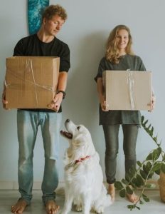 Moving with dogs and cats