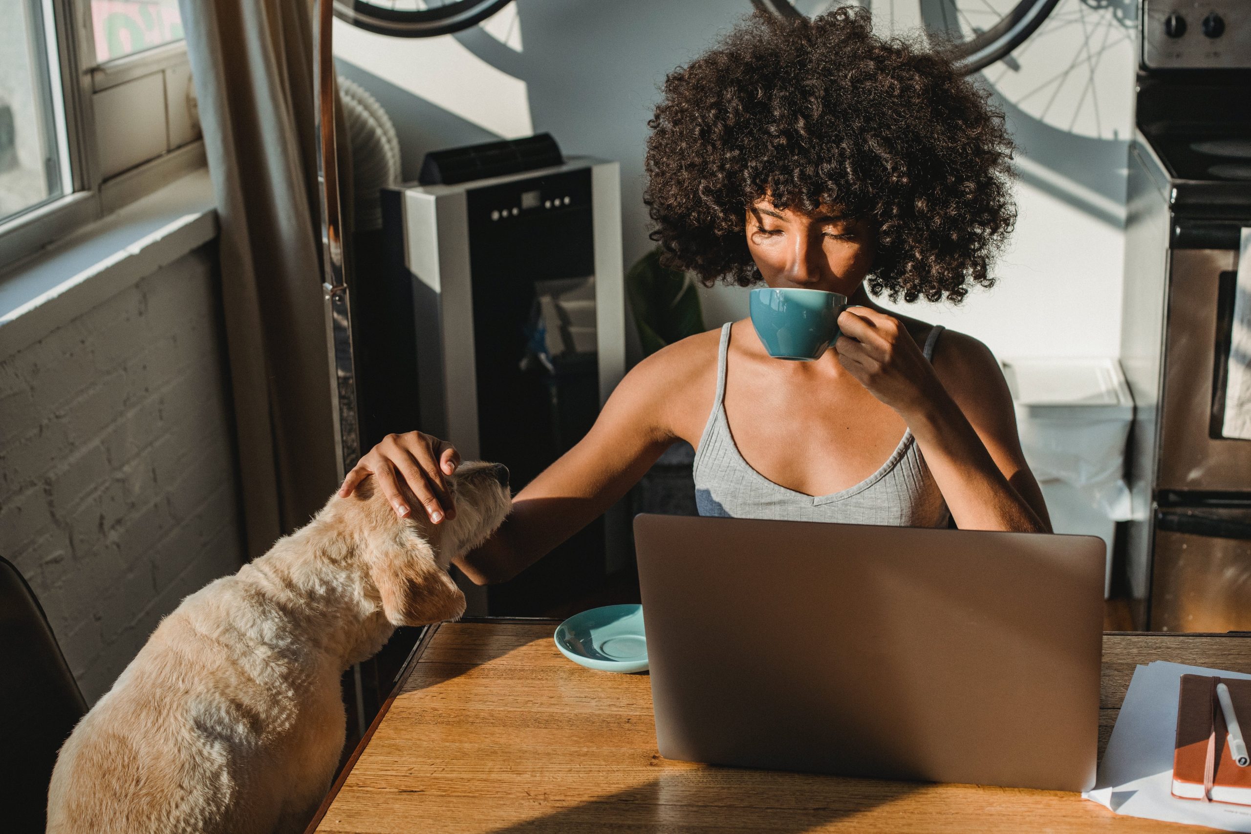 How to Launch a Pet Business on a Budget