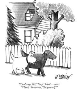 Dogs need mental enrichment and exercise