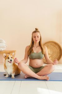 Pet sitters need time to meditate