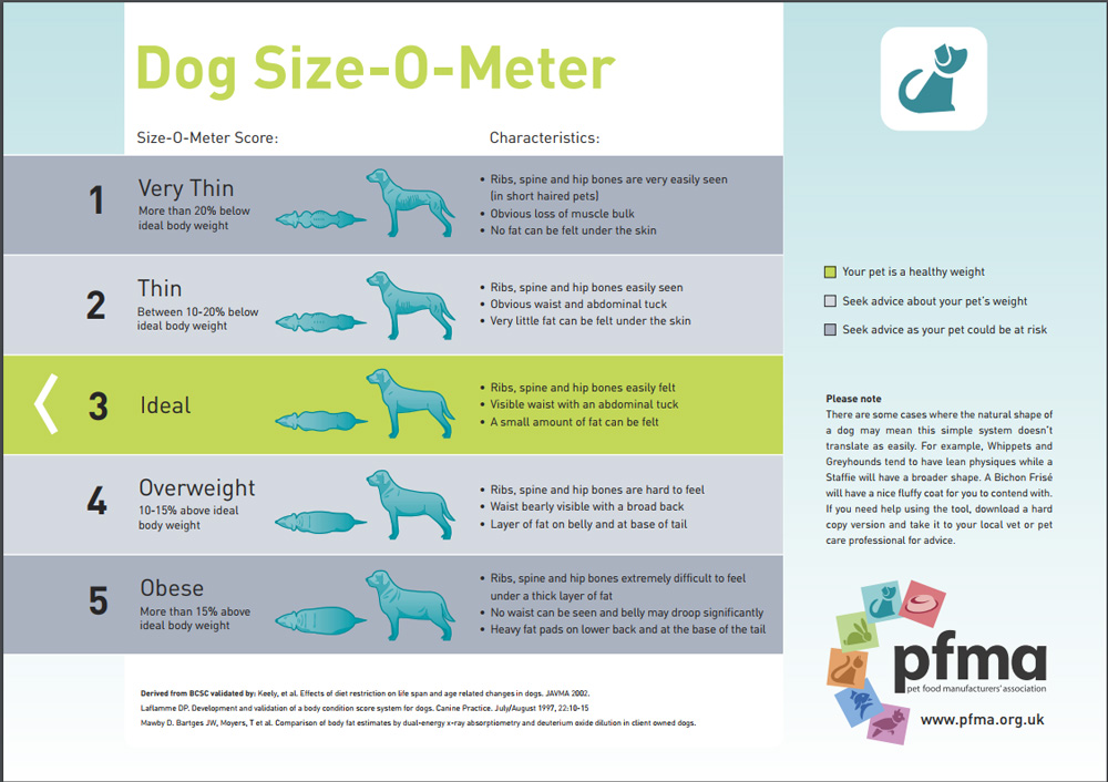 How to tell if a dog is overweight or not