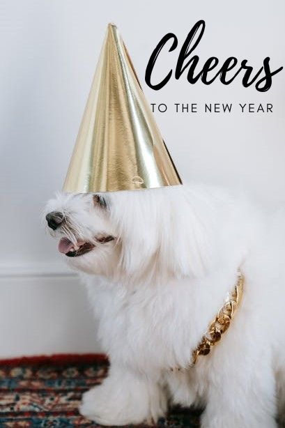 A Dog’s New Year Resolution List
